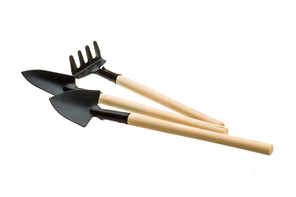 Poplar Wood Dowels for Woodworking and Manufacturing A collection of smooth, precision-milled poplar wood dowels, ideal for woodworking and manufacturing applications.