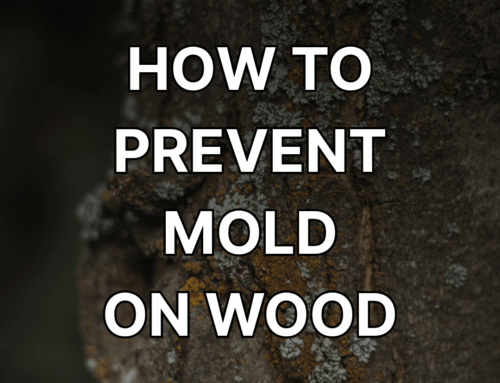 How to Prevent Mold on Wood: Protect Your Columns & More