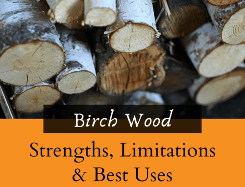 Birch Wood in Manufacturing: Strengths, Limitations & Best Uses